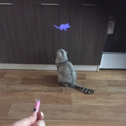 Amazingly Cat Toy Creative and Funny Pet Cat Toys LED Laser Pointer Light Glowing Animated Mouse Portable Keychain Glowing Pen