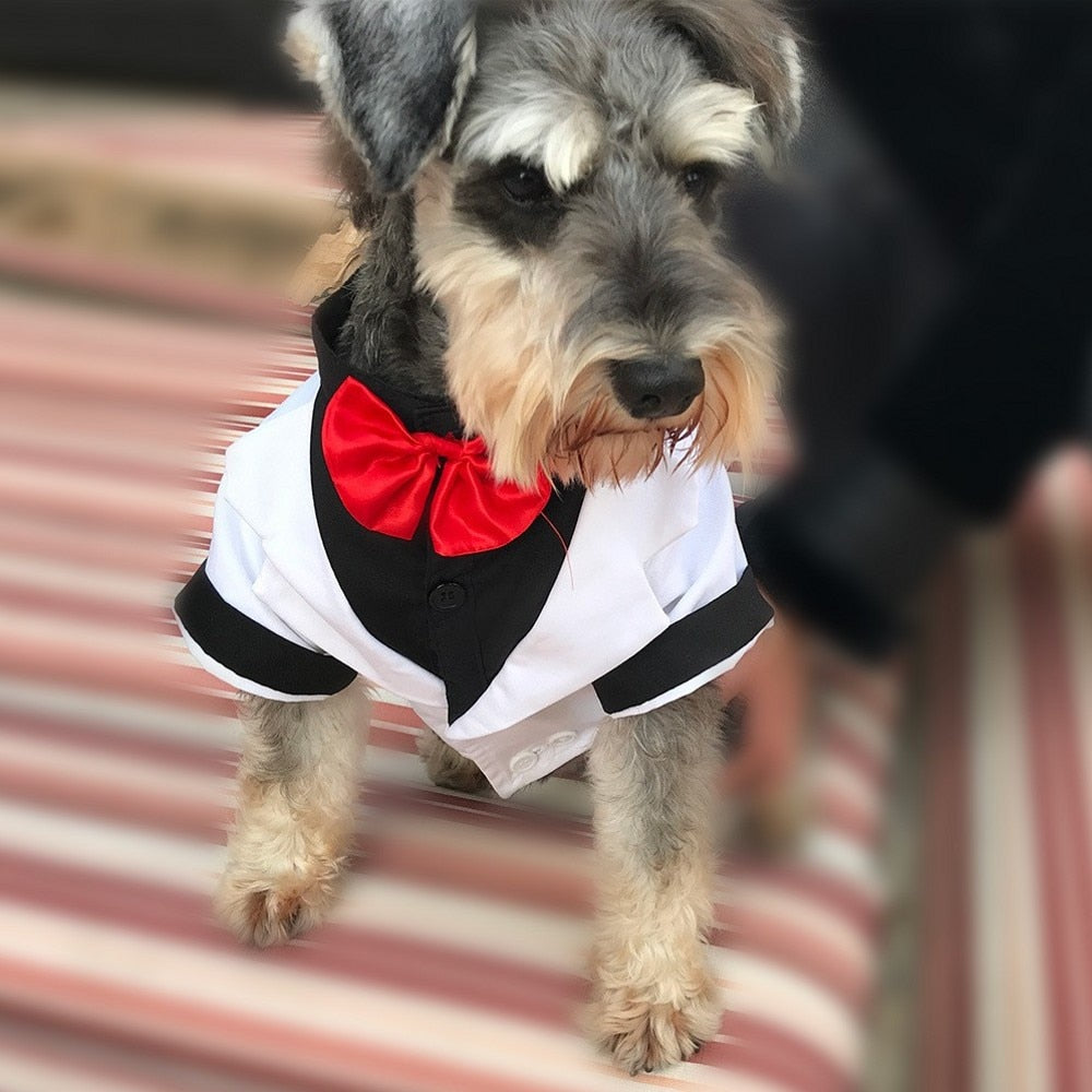 New Pet Clothes Puppy Shirt Dog Wedding Tuxedo Western Style Suit with Bow Tie Apparel Clothing For Dogs Coat Free Shipping