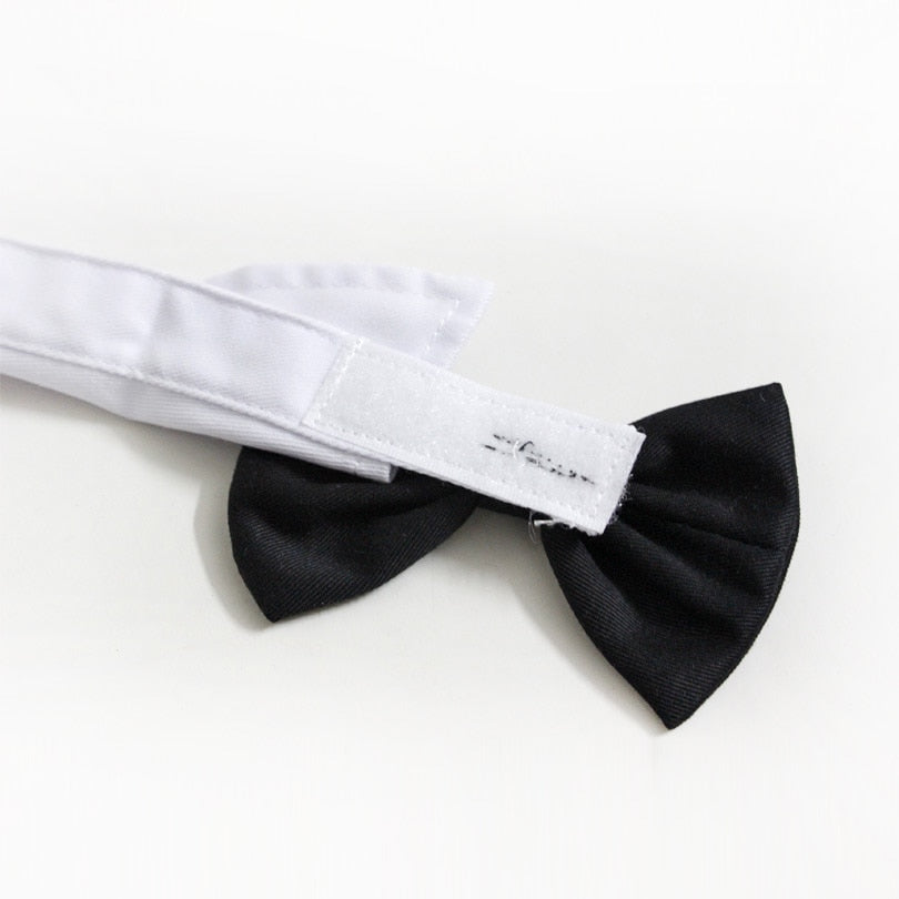 New Arrival Handsome Formal Dog Cat Bow Tie Groom Tuxedo Costumes Pet Dogs Tie Wedding Accessories Grooming Black Bowtie