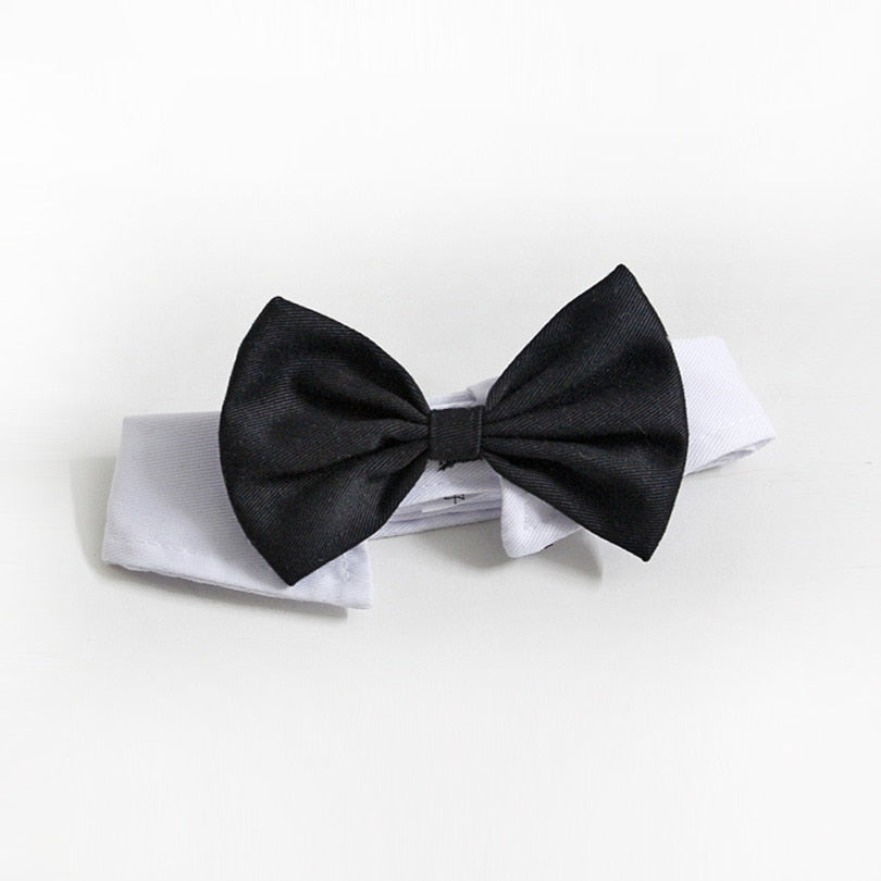 New Arrival Handsome Formal Dog Cat Bow Tie Groom Tuxedo Costumes Pet Dogs Tie Wedding Accessories Grooming Black Bowtie