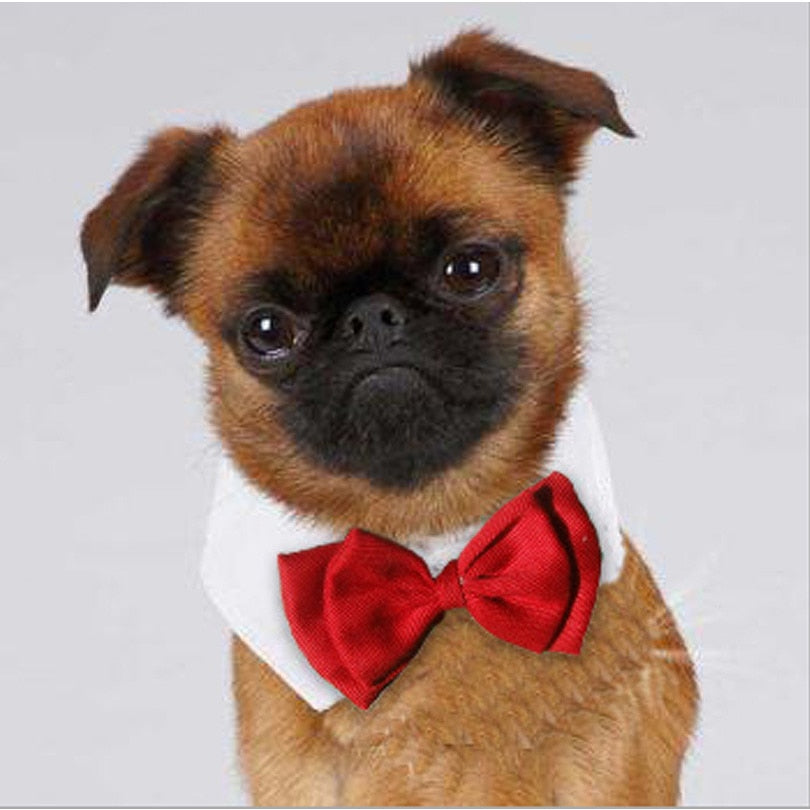 Hot Wholesale Pet Supplies Red Colors Cats Dog Tie Wedding Accessories Dogs Bowtie Collar Holiday Decoration Christmas Grooming