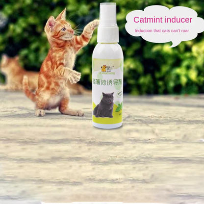 50ml Cat Catnip Spray Healthy Ingredients Catnip Spray For Kittens Cats & Attractant Easy To Use & Safe For Pets Gifts For Pets