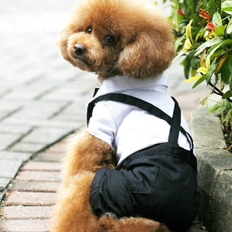 Gentleman Dog Clothes Wedding Suit Tuxedo Pet Outfit Halloween